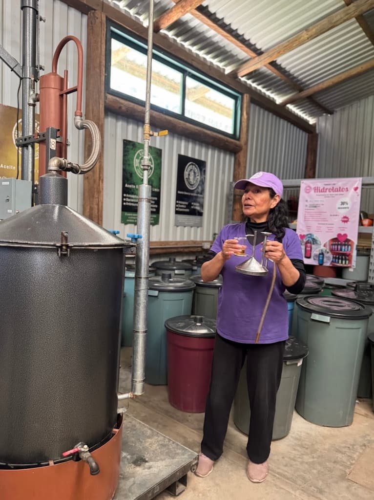 Escápate de la CDMX: lavanda, gastronomía y turismo sostenible en Puebla | Foto: Liz Basaldúa 