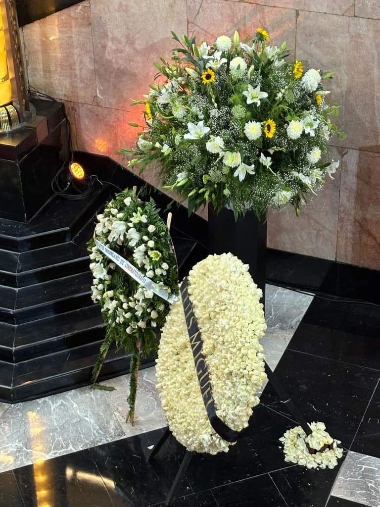 silvia pinal bellas artes