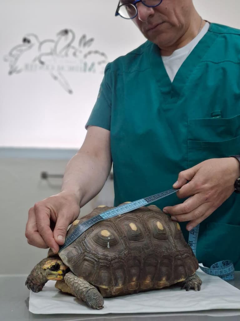 exotic pet medical center