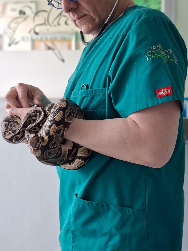 exotic pet medical center