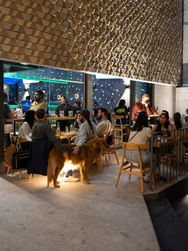 morenos tap room escandón
