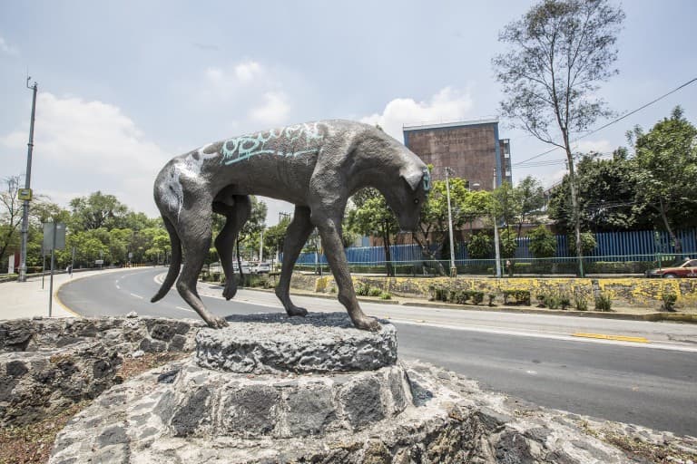 monumento al perro callejero