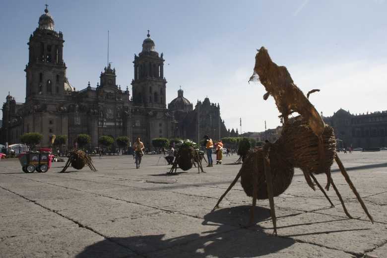 Hormigas gigantes Zócalo