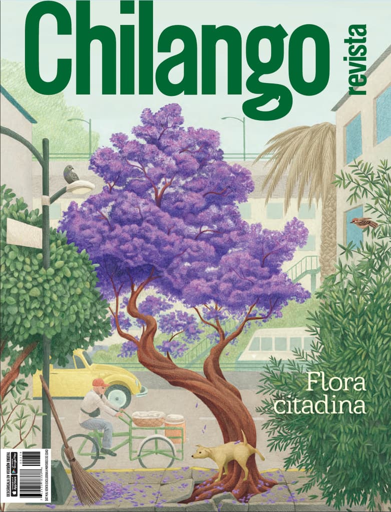 Flora citadina