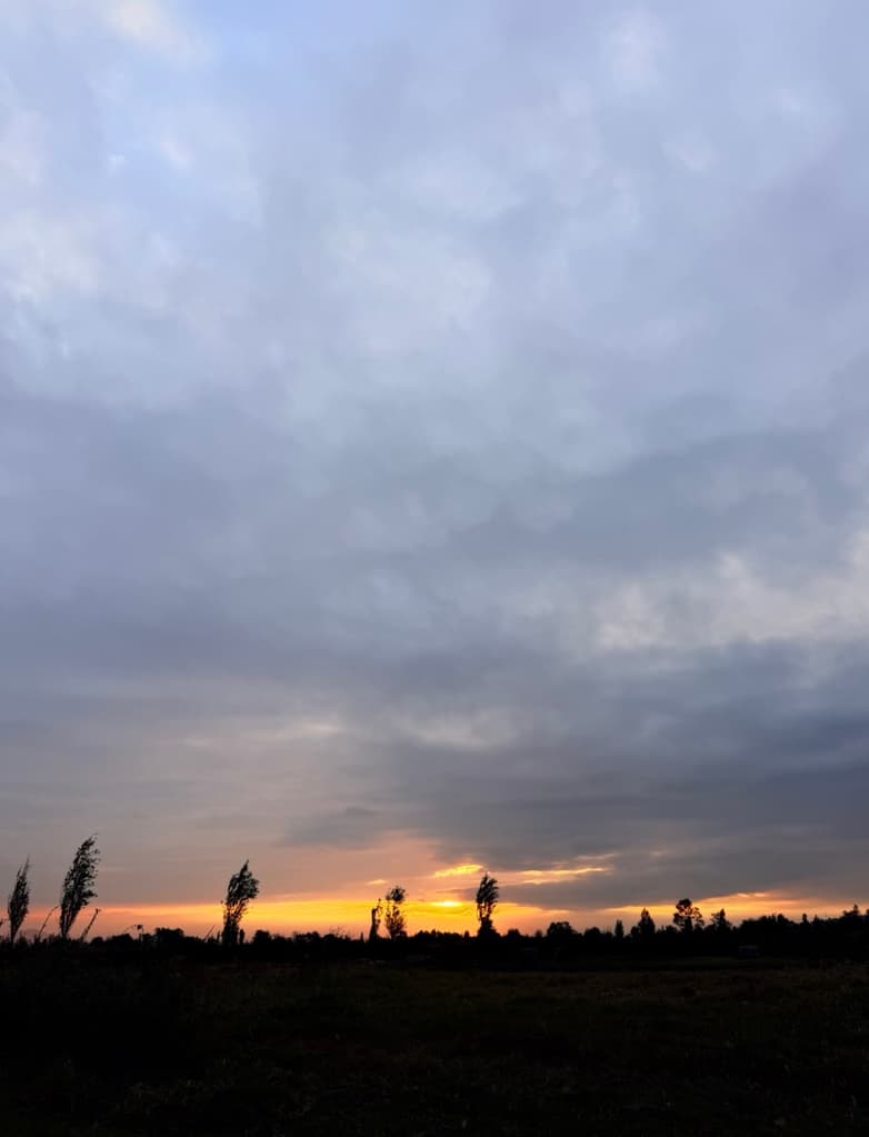La Lunada en Xochimilco 2026 del INAH ofrecerá un recorrido nocturno por los canales bajo la luna llena | Foto: Liz Basaldúa 