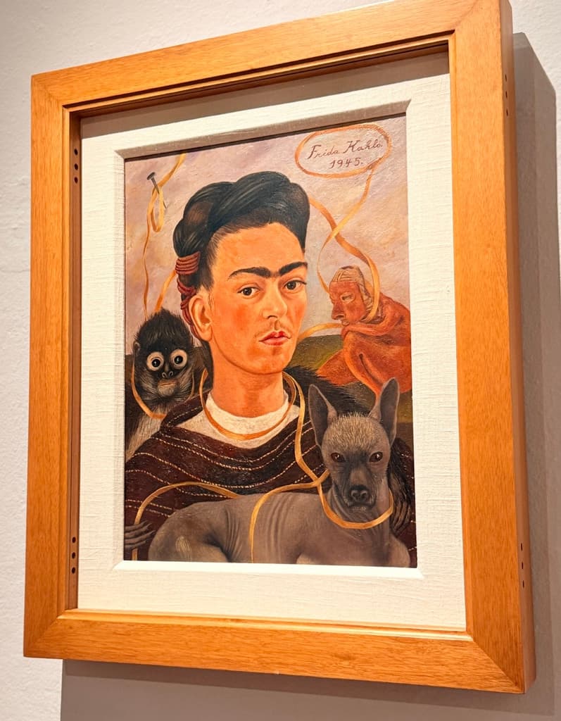 Colección de Frida Kahlo resguardada en el Museo Dolores Olmedo | Foto: Liz Basaldúa