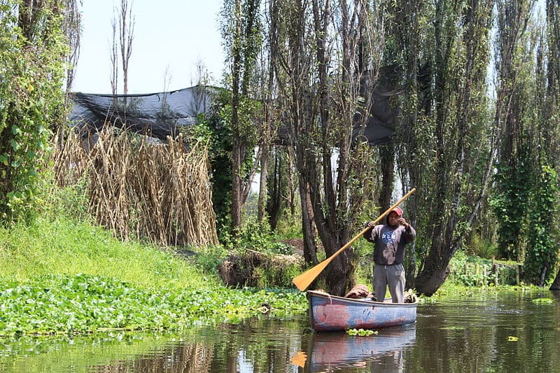 bazar chinampero en Bajo Circuito chinam
