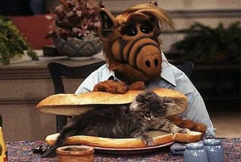 alf