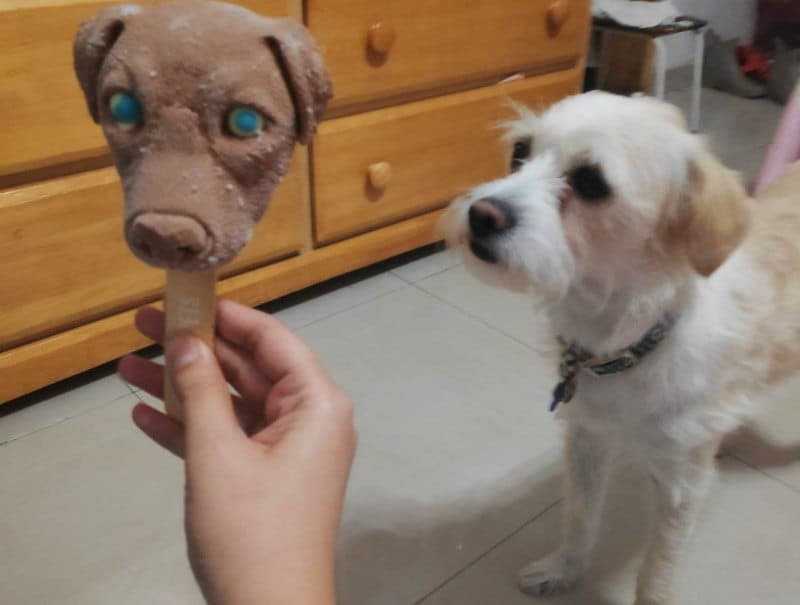 paletas de perrito a domicilio en CDMX