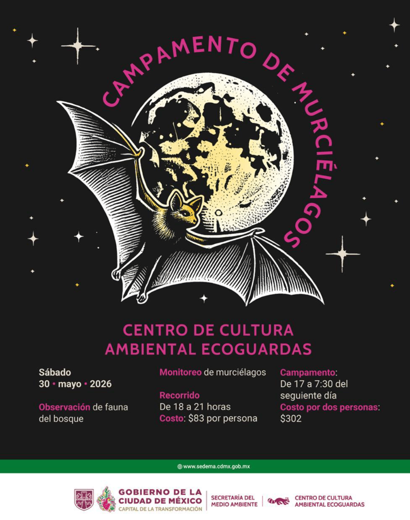 La CDMX tendrá un Campamento de Murciélagos con recorridos nocturnos, observación de fauna y actividades ambientales. | Foto: Cuartoscuro