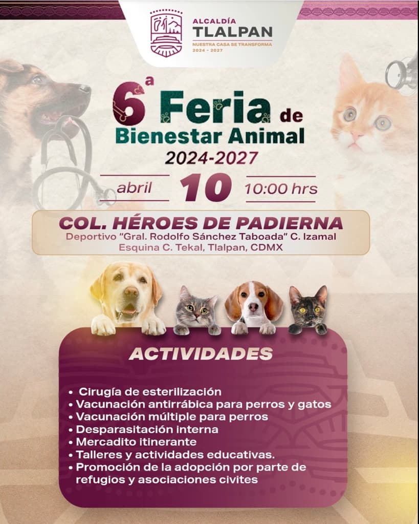 Esterilización y vacunación para perros y gatos en la Feria de Bienestar Animal ¡GRATIS!


