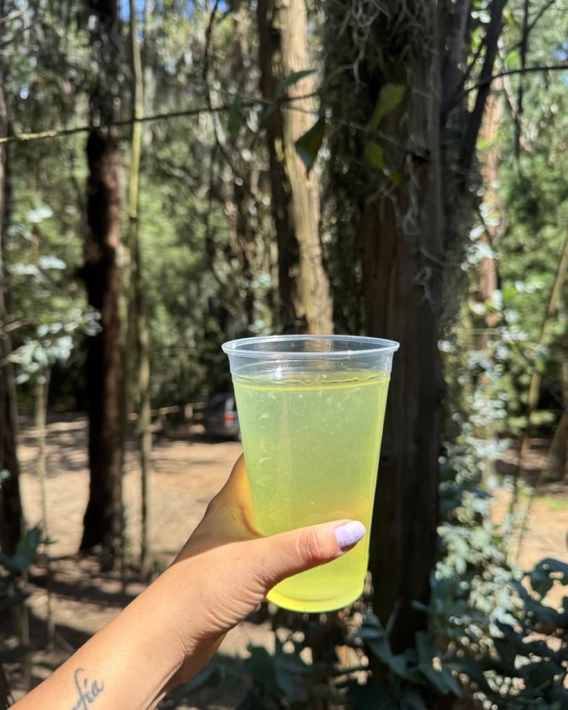 Escápate de la CDMX: lavanda, gastronomía y turismo sostenible en Puebla | Foto: Liz Basaldúa 