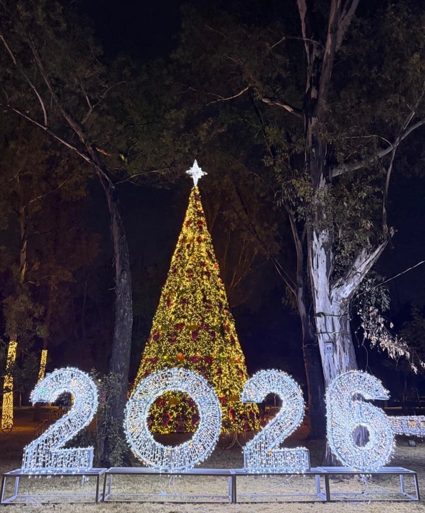 ¿Buscas un spot para tus fotos navideñas? Ve a Christmas Lights en Parque Naucalli