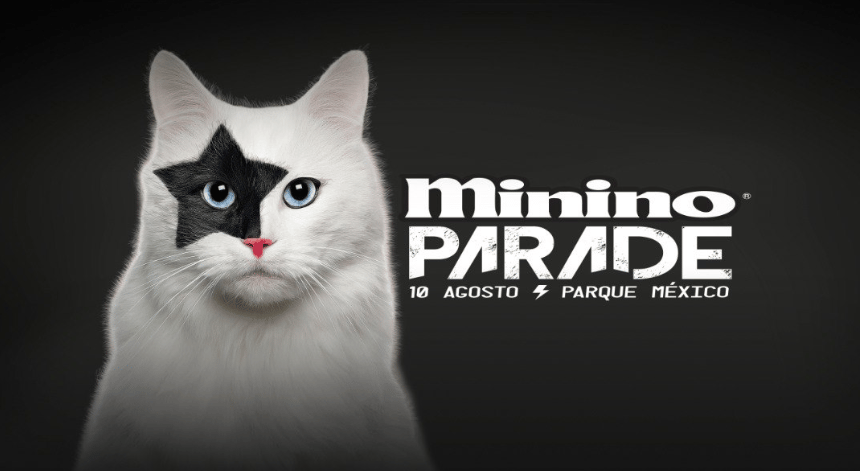  Minino Parede en Parque México