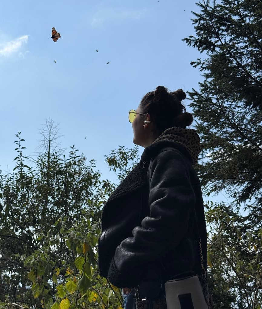 Mariposa Monarca en México: cuándo verlas y dónde | Foto: Liz Basaldúa 