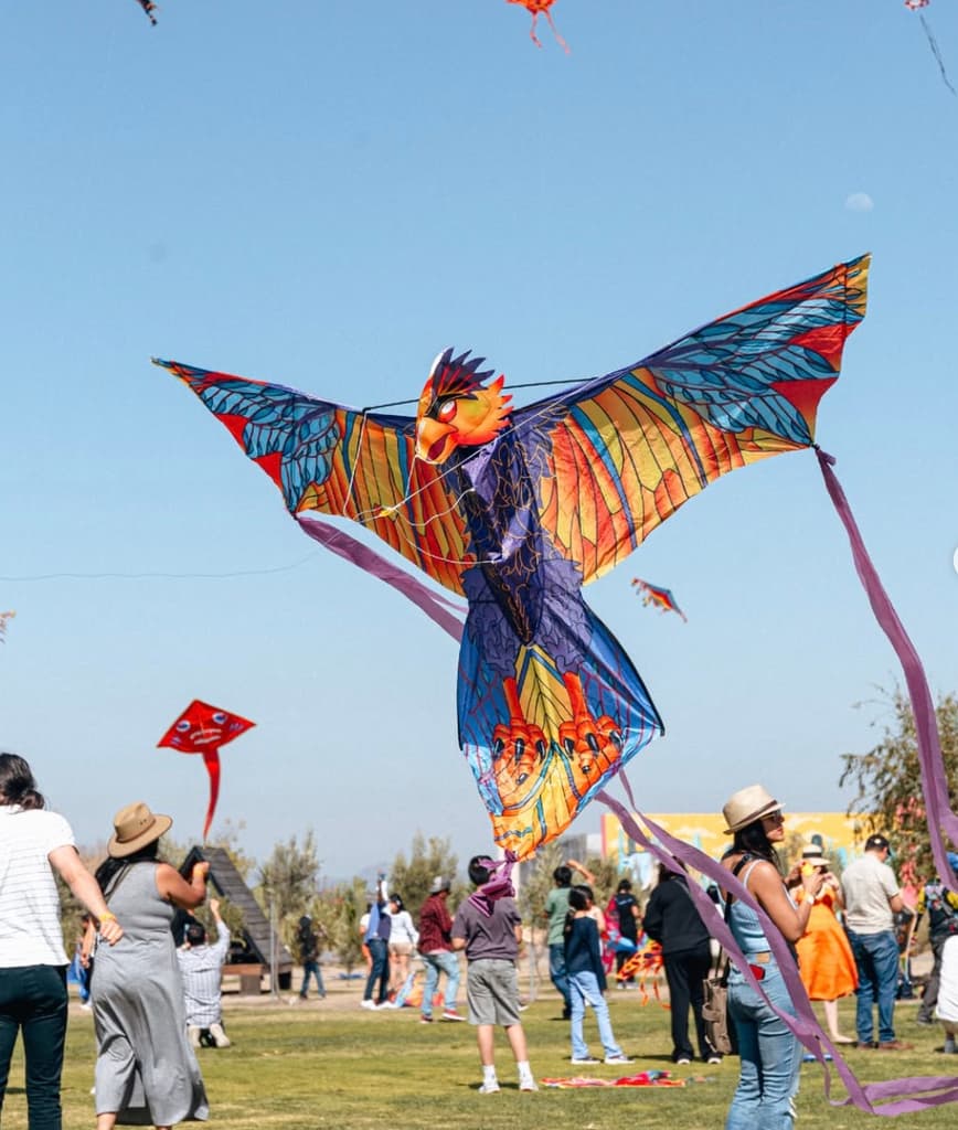 Fiesta de los Papalotes Querétaro 2026 en Cava Bocanegra Tequisquiapan | Foto: Fiesta de Papalotes Tequisquiapan 