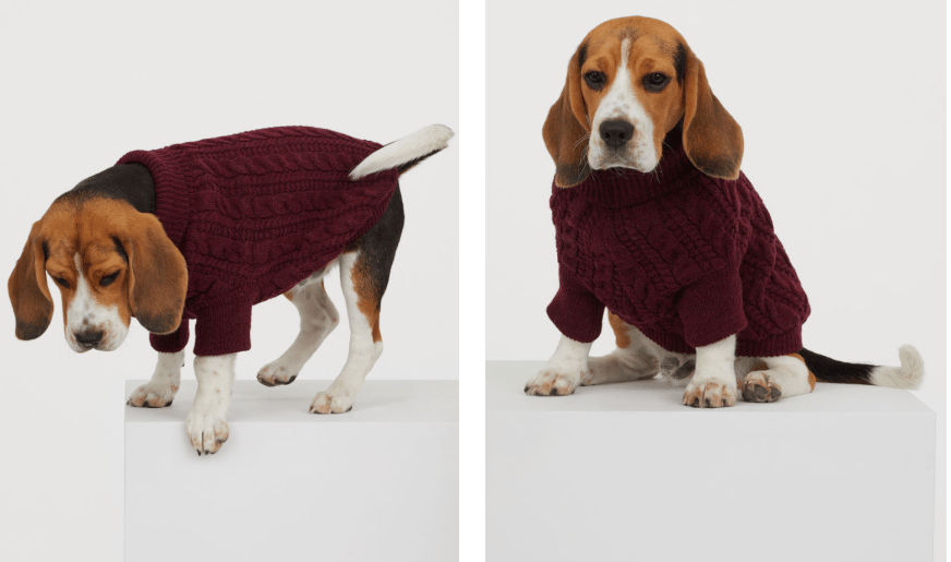 ropa para perros de H&M