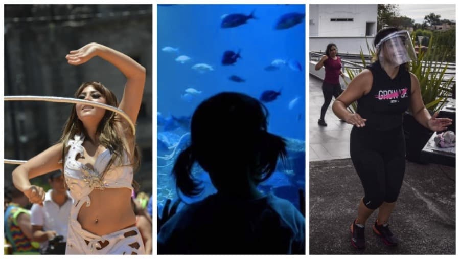 cuándo reabren los gimnasios