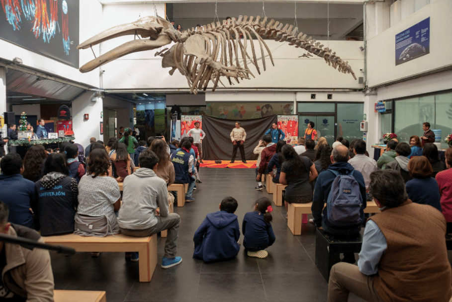 Niños y niñas jugando con ciencia