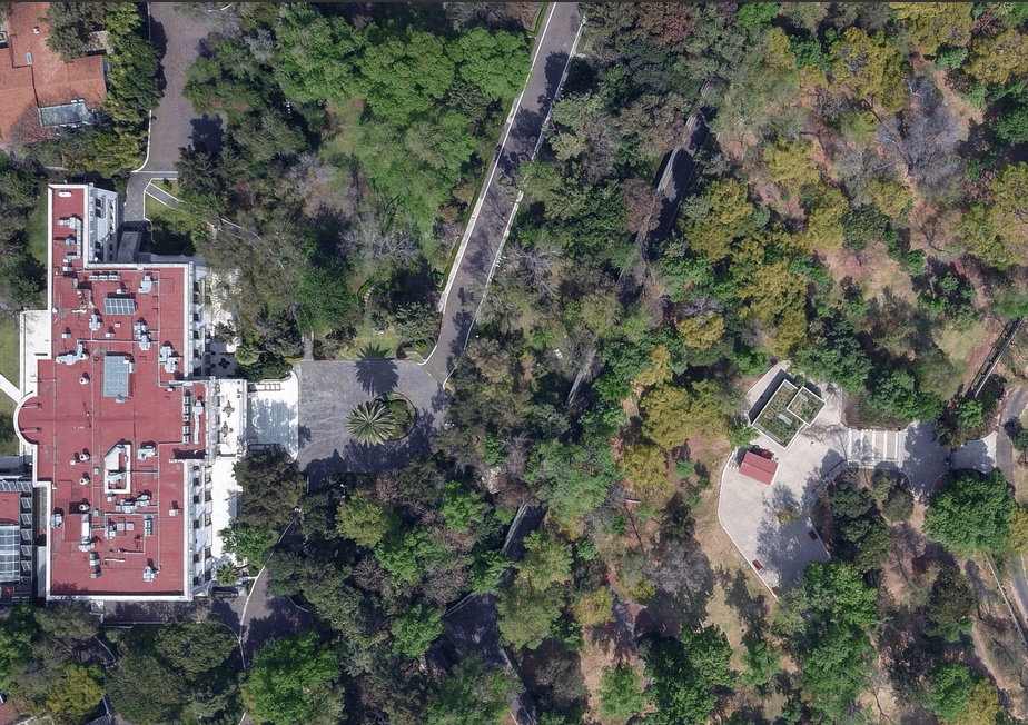 Los Pinos abrirá al público