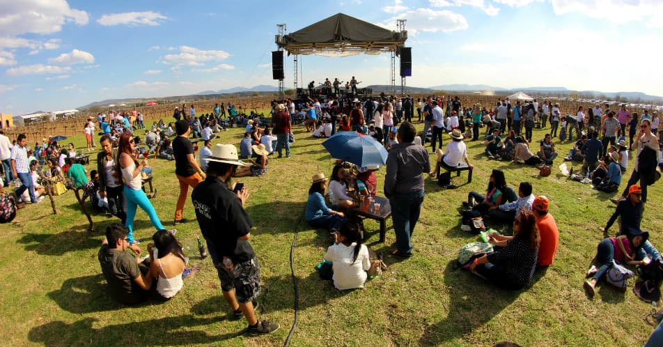 festival 100 vinos mexicanos 2018