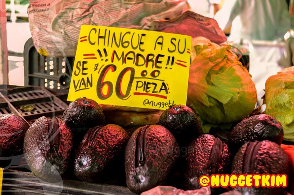 monedero de aguacate