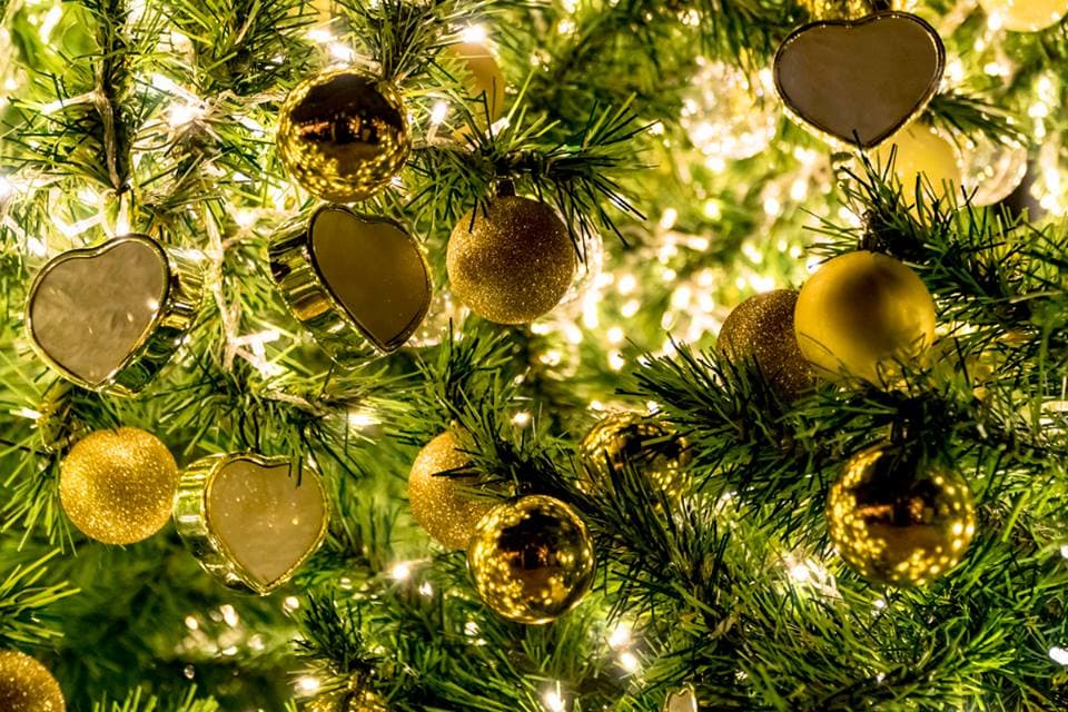 árboles de Navidad más bonitos