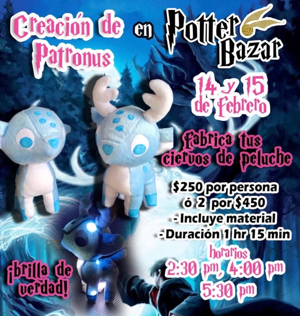 Qué hacer 14 de febrero: Potter Bazar para los amantes de Harry Potter