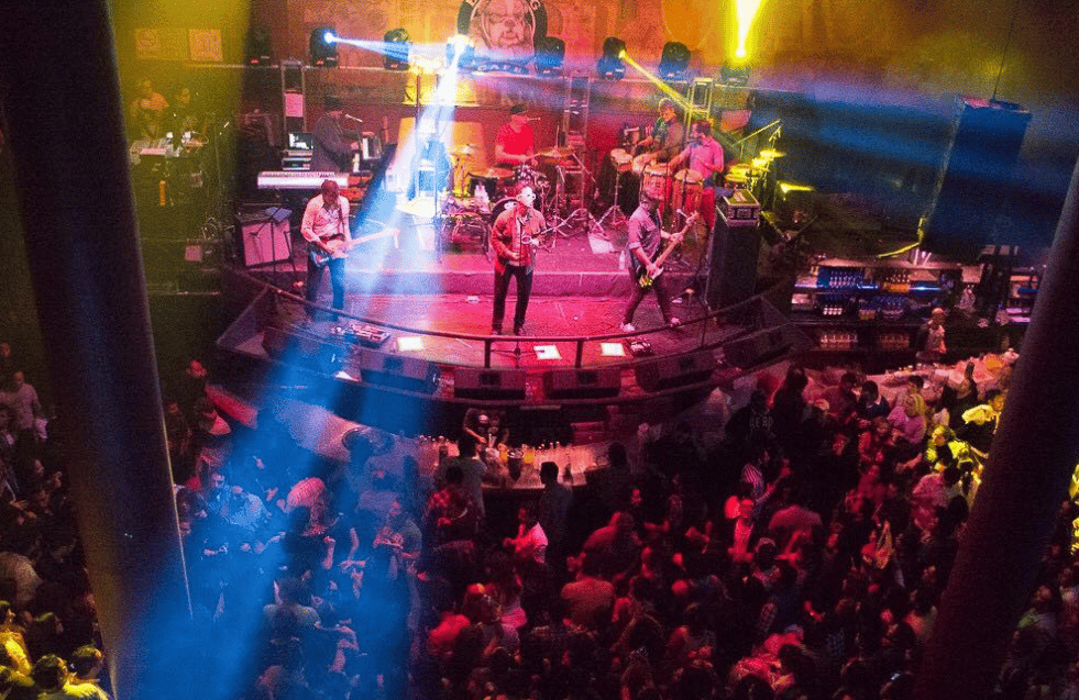 bulldog café cerrará