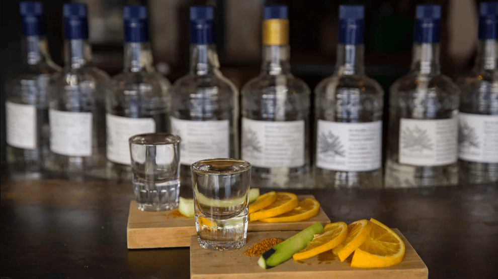 Feria del mezcal, cerveza y videojuegos