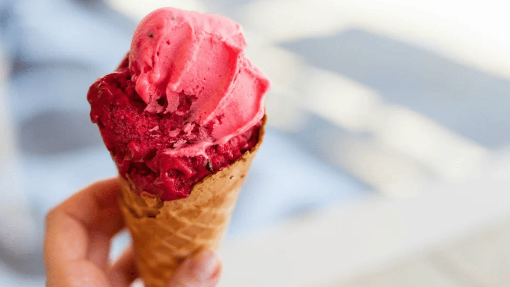 Feria del helado y la nieve artesanal